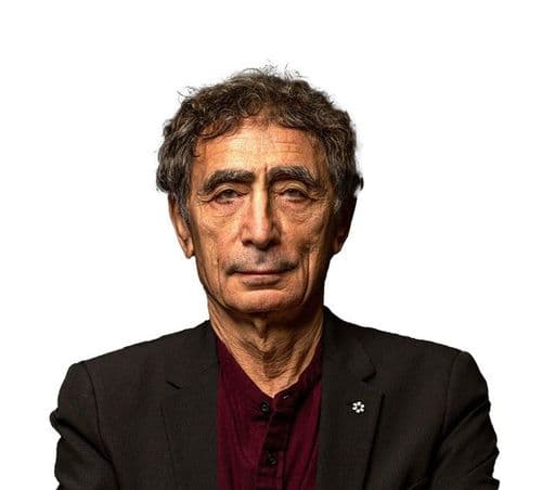 Gabor Maté - Wisdom of Trauma-Bundles